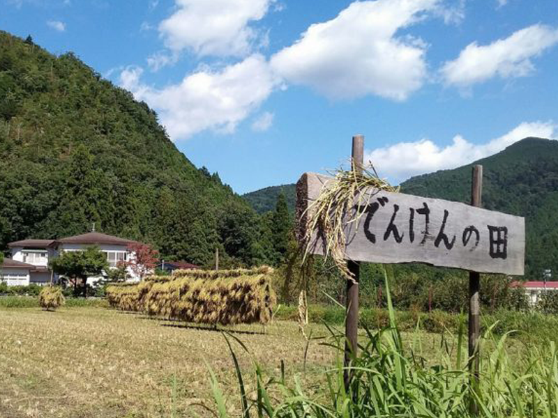 電建ライス倶楽部